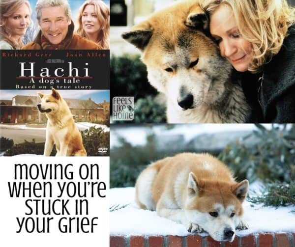 a collage of photos from the movie Hachi