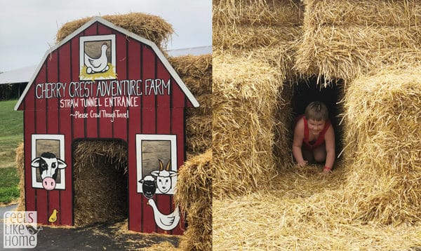 A collage of photos from Cherry Crest Adventure Farm