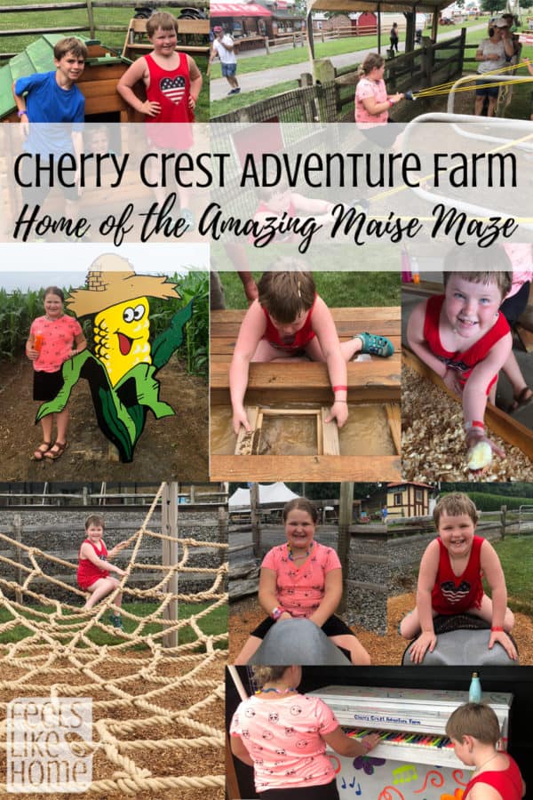 A collage from Cherry Crest Adventure Farm