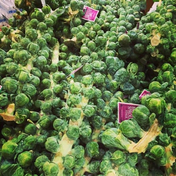 Brussels sprouts on the stalks