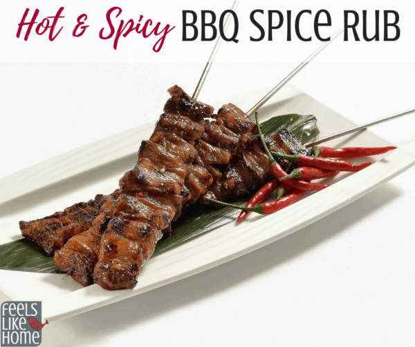 The best homemade hot & spicy BBQ recipe for pulled pork, ribs, roast, chicken, or other cuts of meat. Simple and easy recipe that’s great for gifts and stores well. Could be used for any meat. Includes brown sugar. The best homemade hot & spicy BBQ recipe for pulled pork, ribs, roast, chicken, or other cuts of meat. Simple and easy recipe that's great for gifts and stores well. Could be used for any meat. Includes brown sugar.