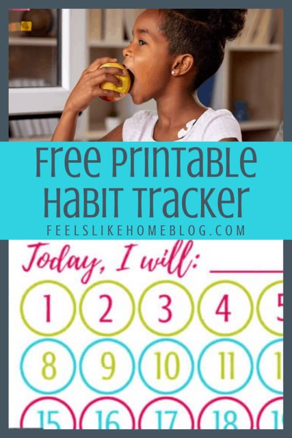 A collage of habit trackers