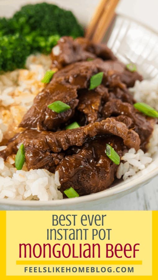 A close up of Mongolian beef
