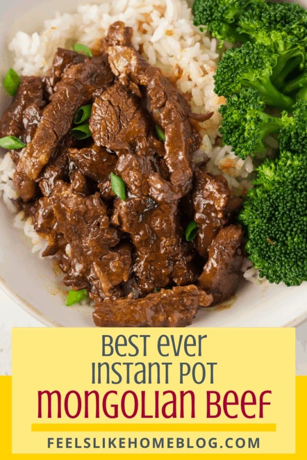 A plate of food with rice and broccoli, with Mongolian beef