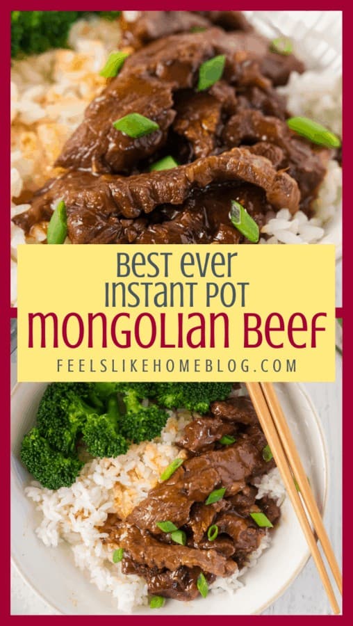 A close up of a plate of food with broccoli and Mongolian beef