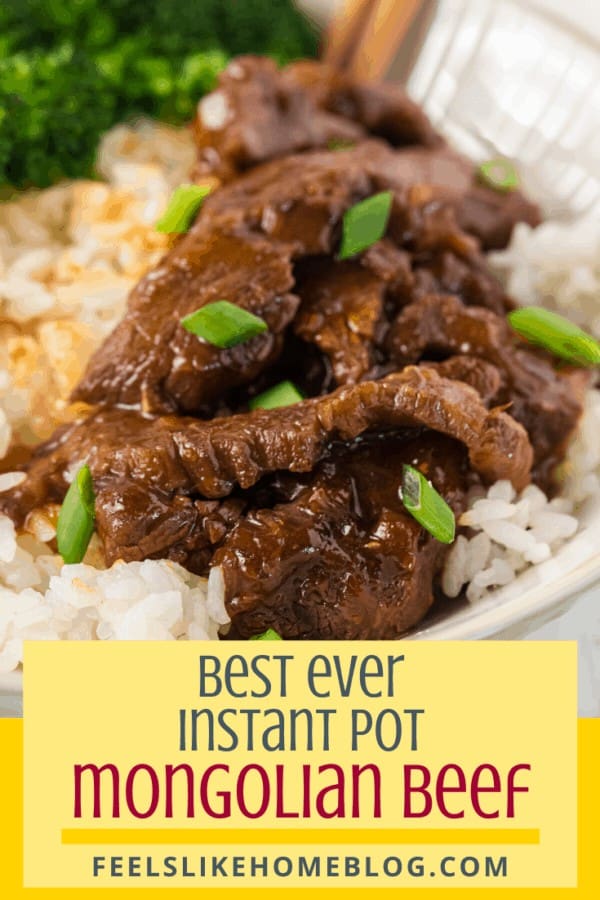 A close up of Mongolian beef