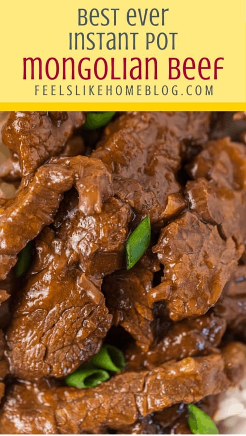 A close up of Mongolian beef