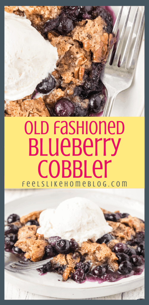 one slice of old fashioned blueberry cobbler topped with ice cream