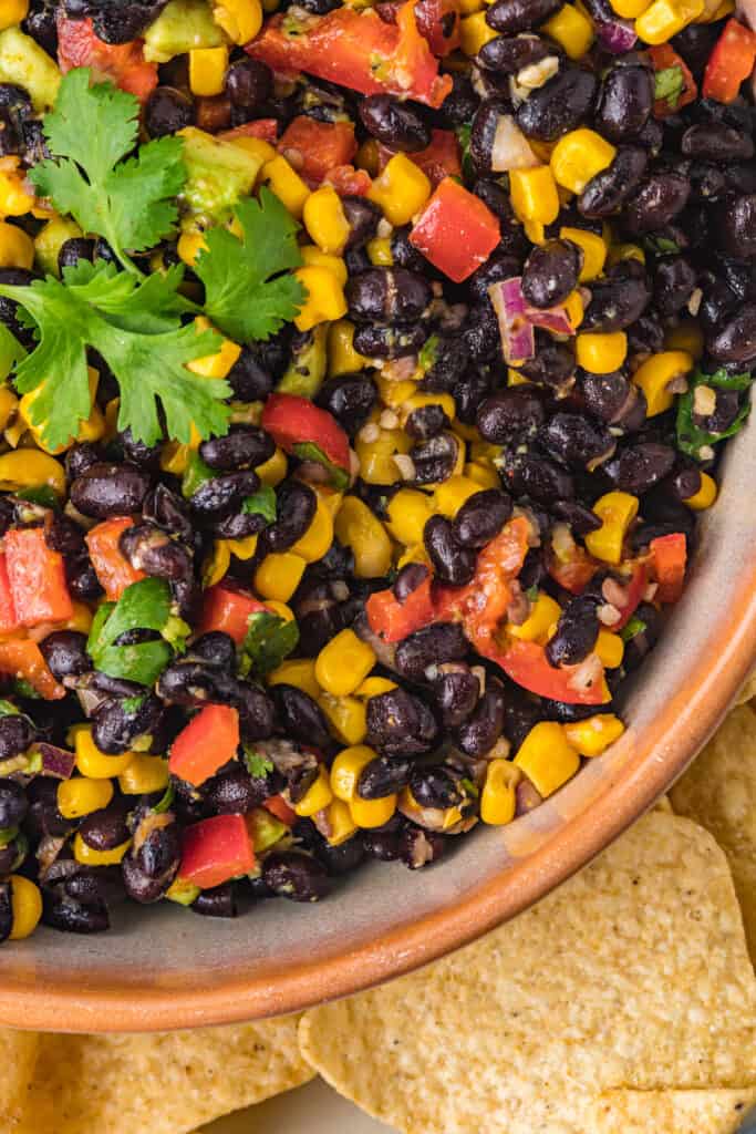 a close up of corn and black bean salsa with cilantro on top