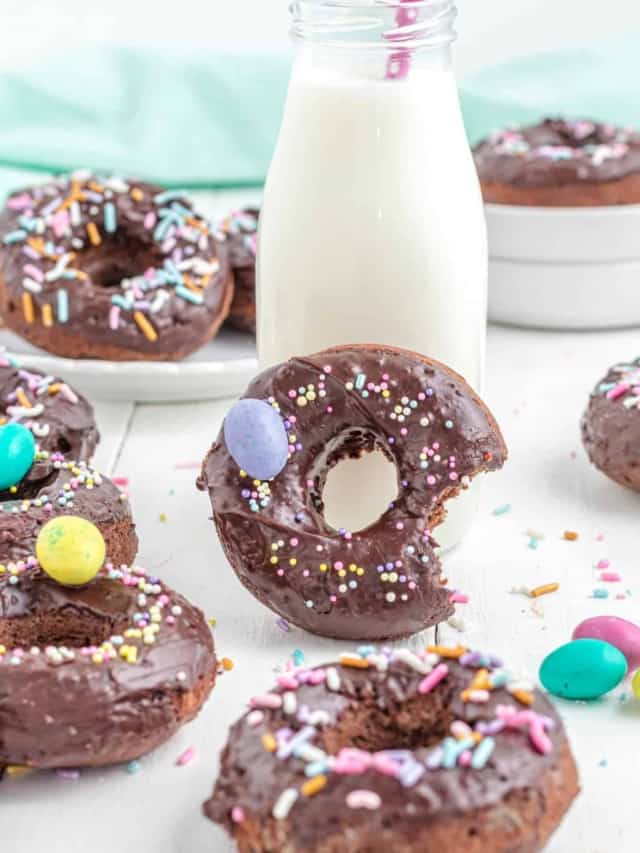 BAKED CHOCOLATE FROSTED CANDY-FILLED DONUTS STORY