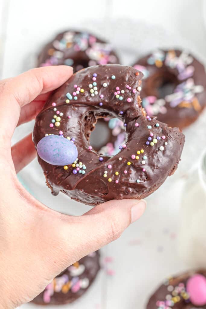 one chocolate donut for Easter