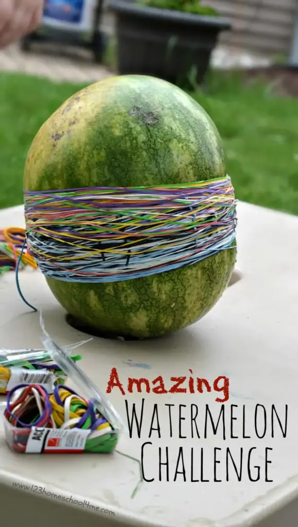 a watermelon wrapped in rubber bands with text