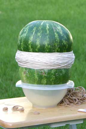 exploding watermelon in a bowl