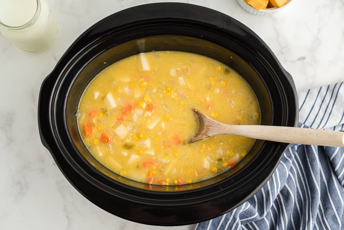 add chicken stock to the slow cooker