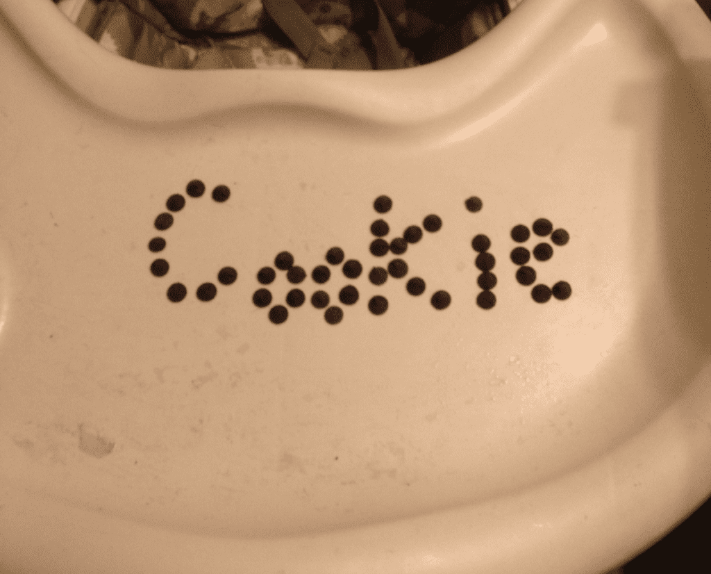 Elf on the Shelf wrote her name in chocolate chips