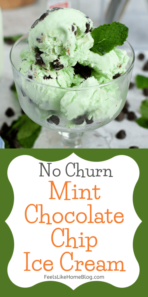 No Churn Mint Chocolate Chip Ice Cream - Feels Like Home™