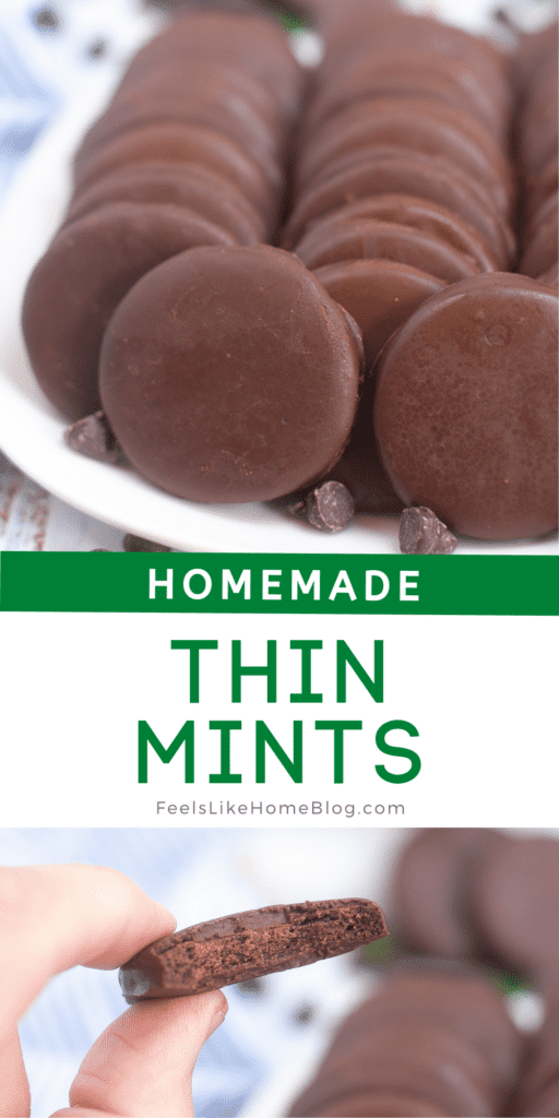 Homemade Thin Mints Girl Scouts Cookies Recipe - Feels Like Home™