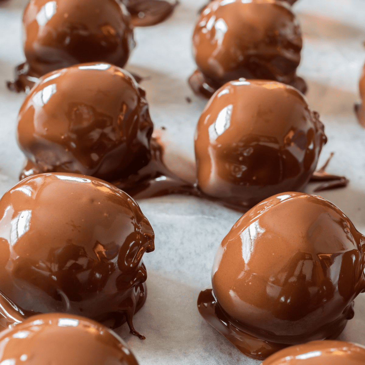 peanut butter balls coated in chocolate