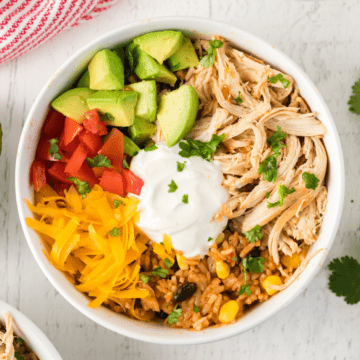 a chicken burrito bowl with chopped tomatoes, avocados, shredded cheddar cheese, rice, and sour cream