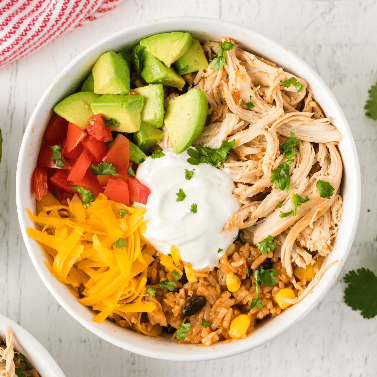 Instant Pot Chicken Burrito Bowl - A Mom's Impression