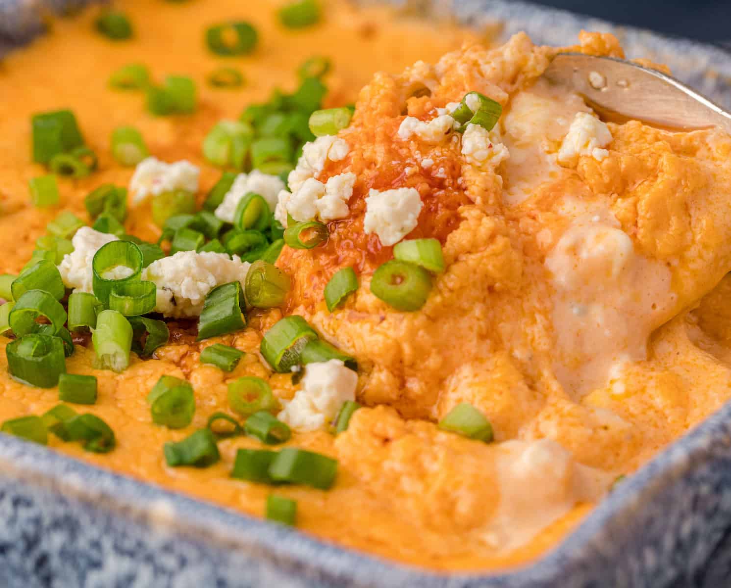 a close up of mild buffalo chicken dip for kids