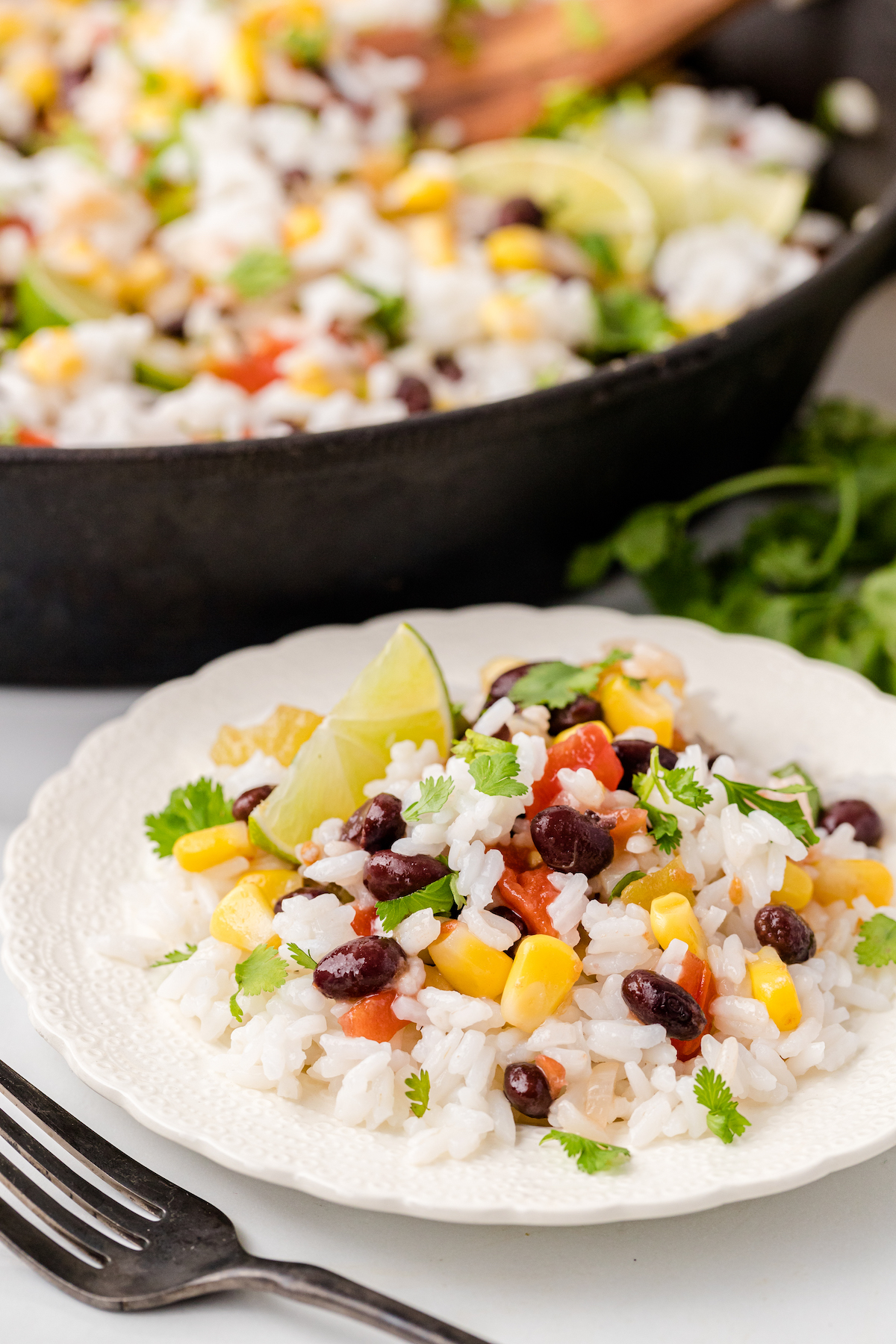 one serving of cilantro lime rice with black beans on a white plate