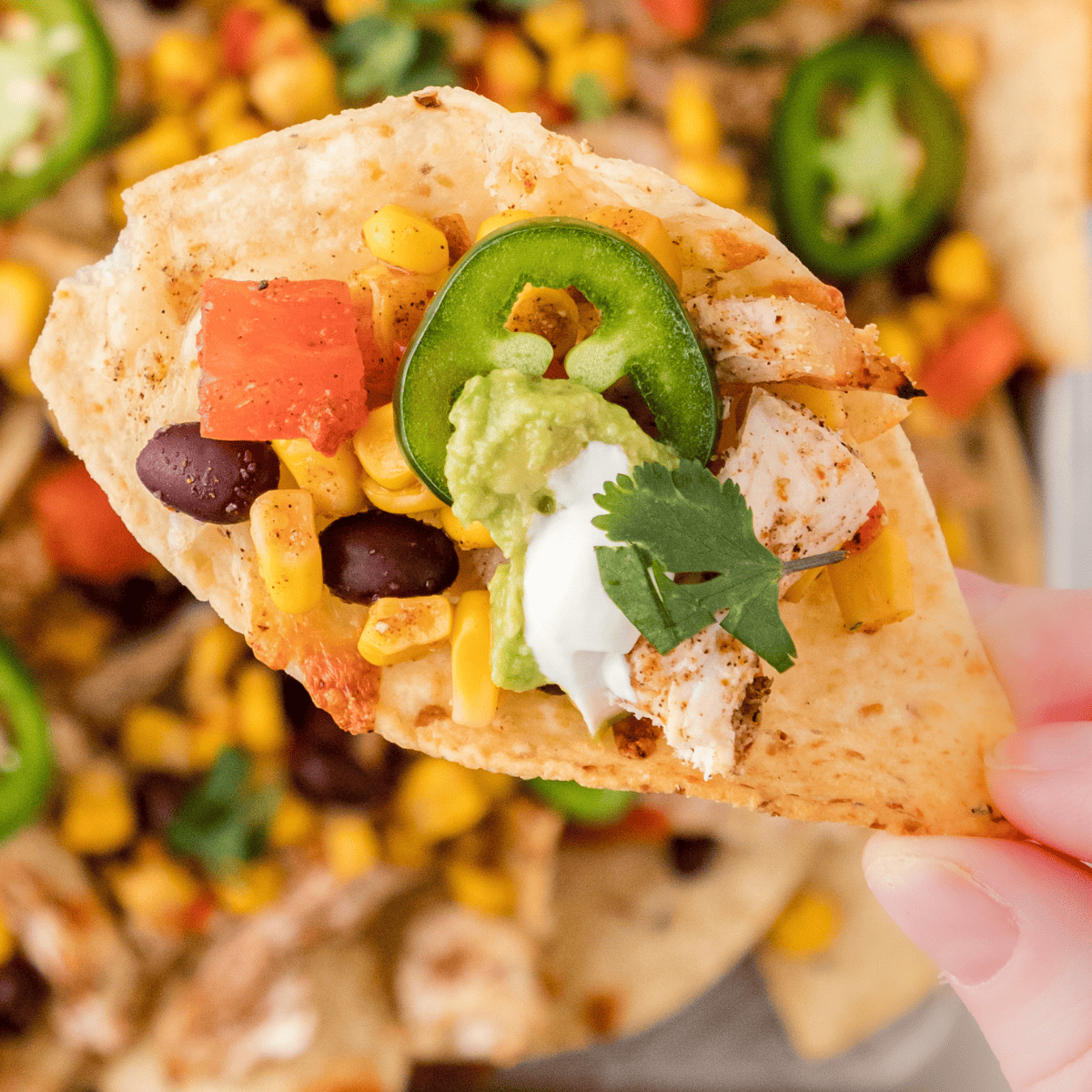 jerk chicken nachos showing a jalapeno slice, corn, black beans, jerk chicken, cheese, sour cream, and guacamole on a tortilla chip