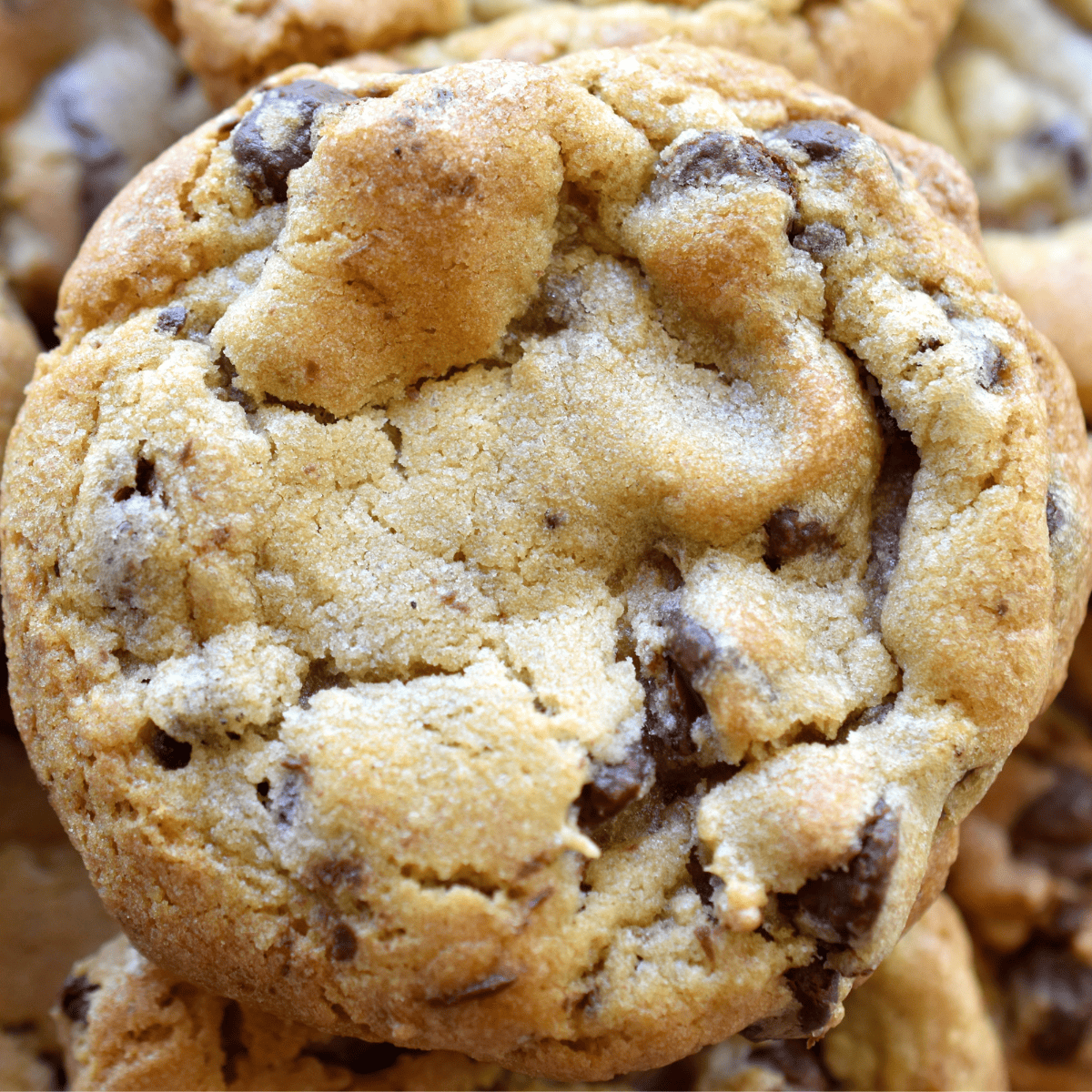 a close up of the best chocolate chip cookies