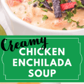 Creamy Chicken Enchilada Soup - Feels Like Home™