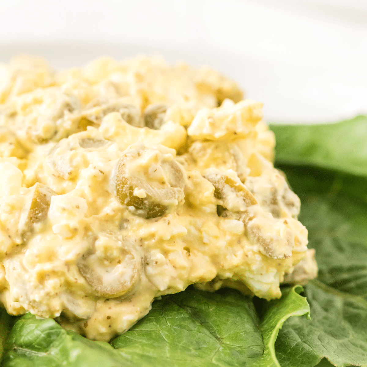 a scoop of egg and olive salad on a bed of lettuce leaves