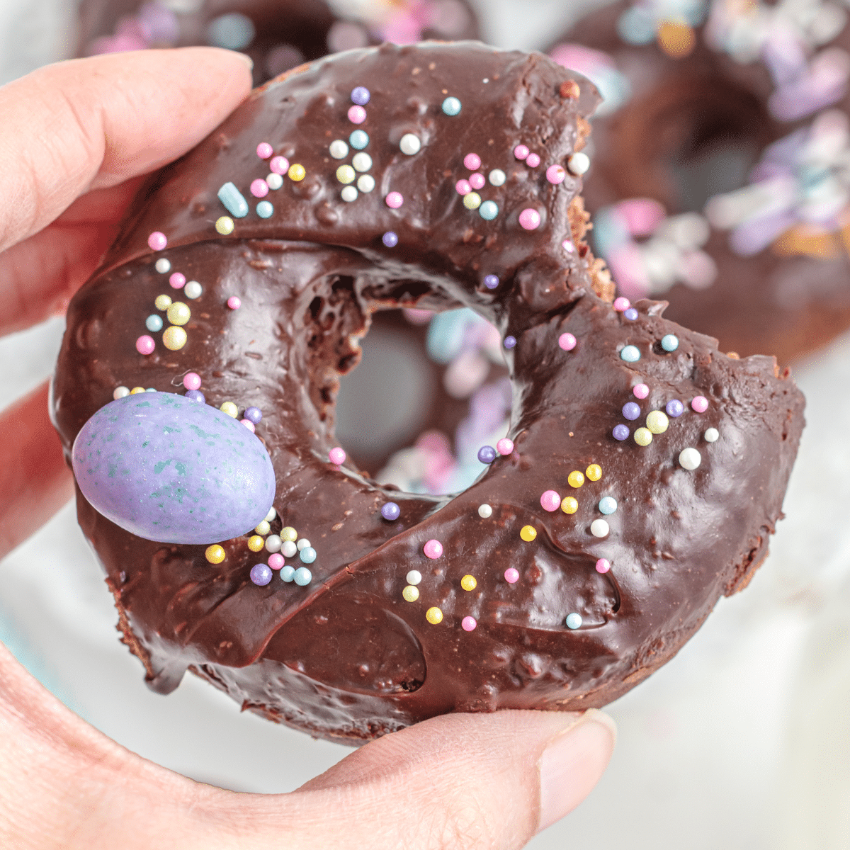 one baked double chocolate frosted donut with a candy egg and multicolored sprinkles and a bite out of it