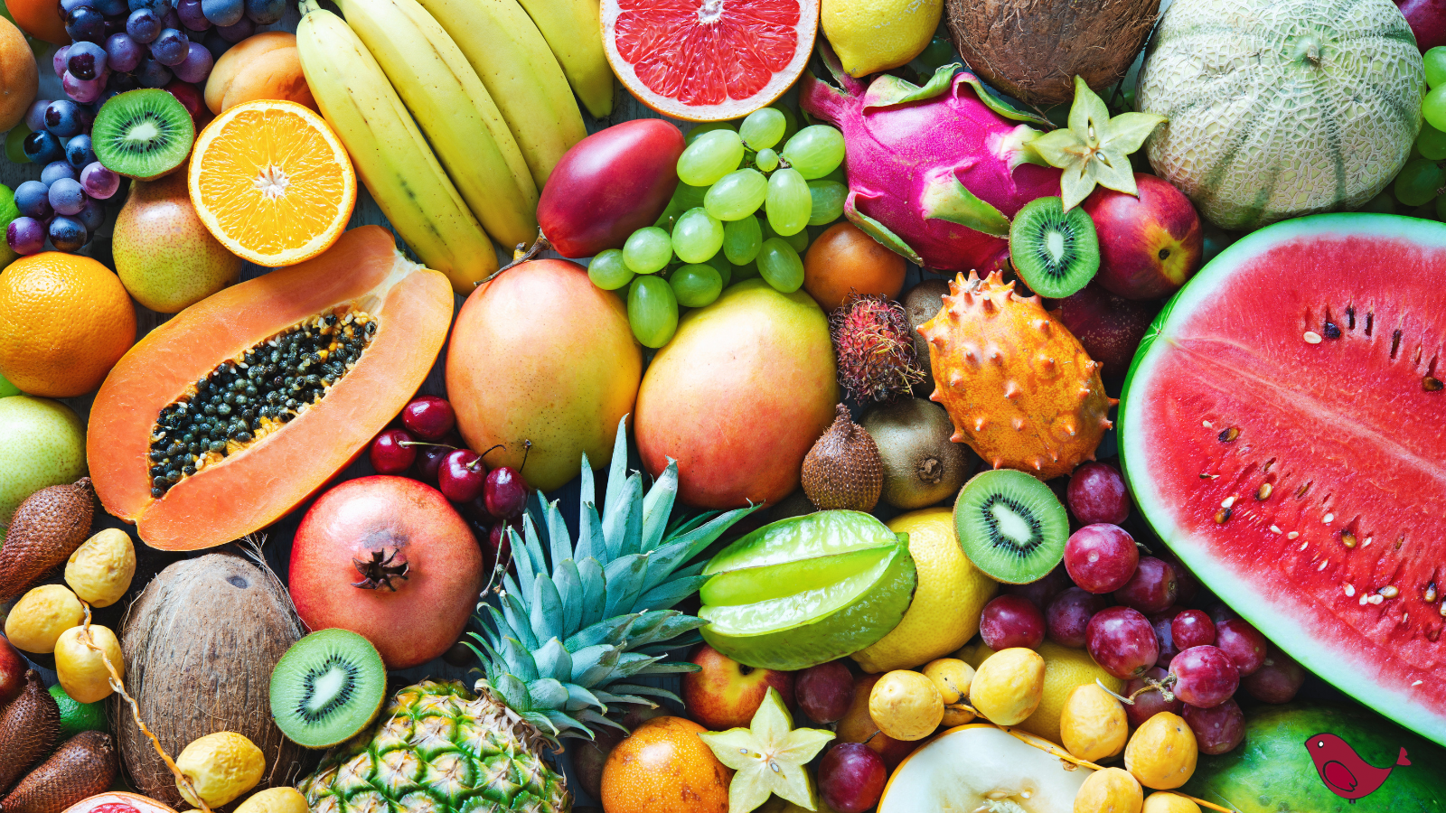 many different kinds of fruit