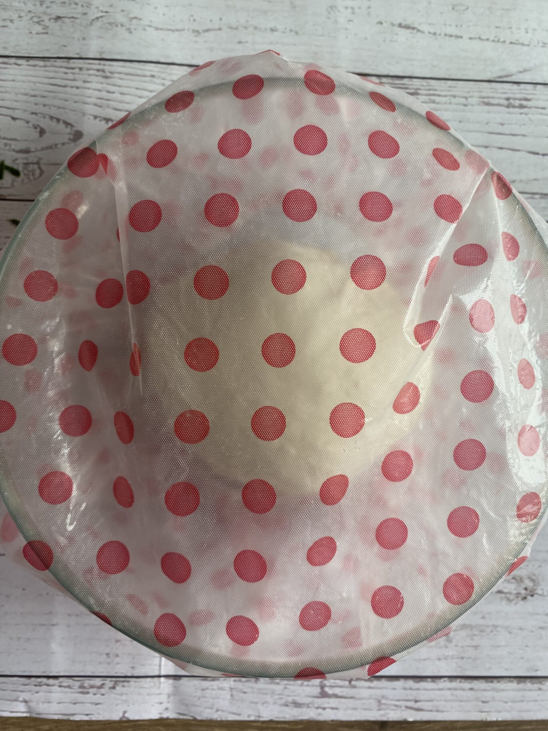 cover the dough with plastic wrap
