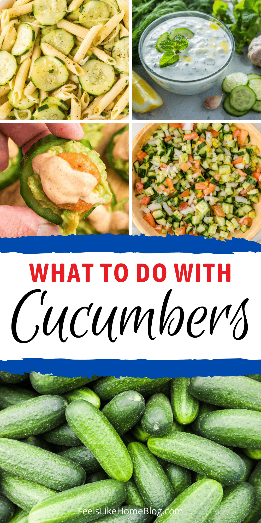 What To Do With Cucumbers Feels Like Home what-to-do-with-cucumbers-feels-like-home