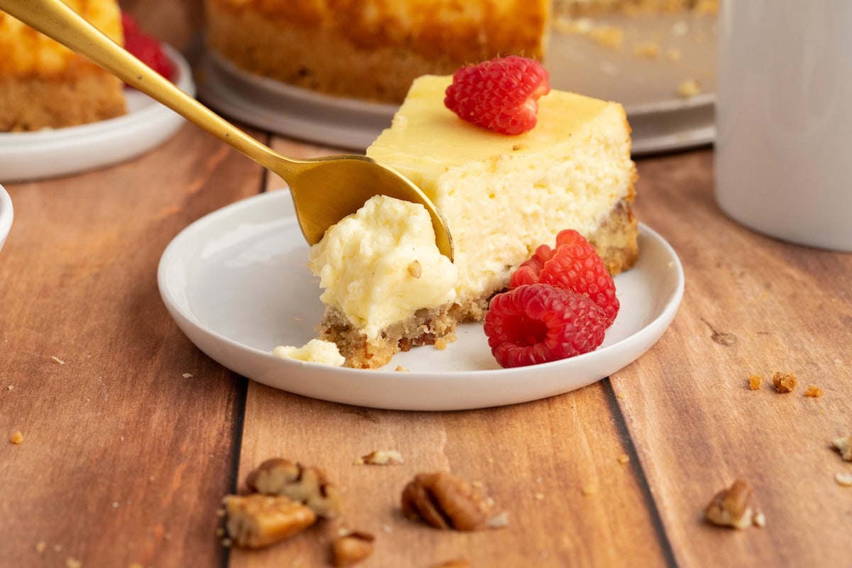 one slice of Gluten-Free Pecan Crust Cheesecake with a spoon removing a bite