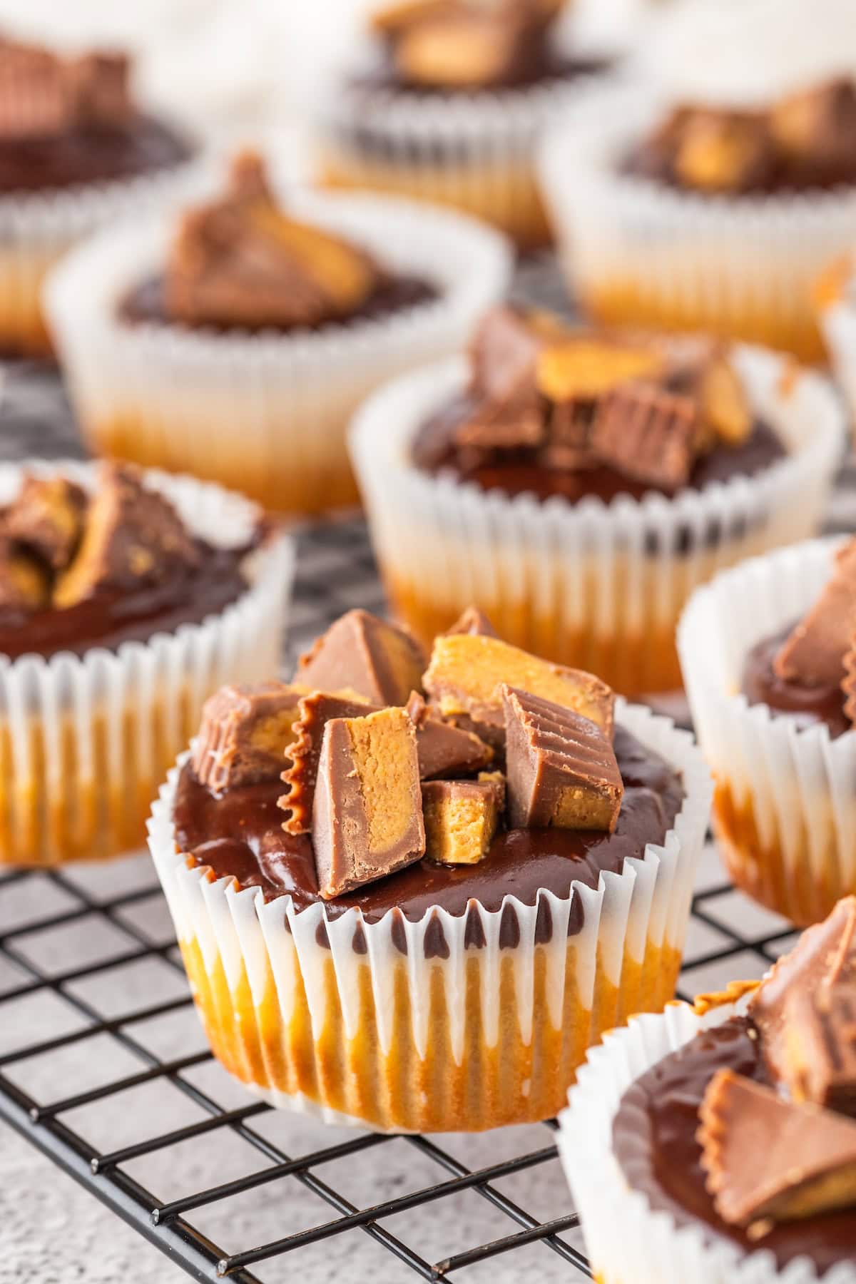 a bunch of Mini Peanut Butter Cup Cheesecakes on a wire cooling rack