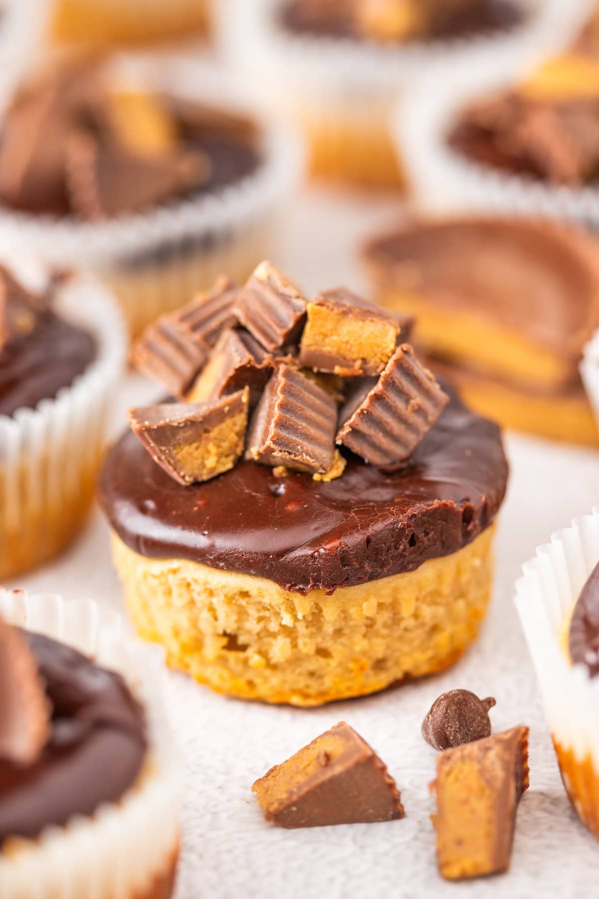 a bunch of Mini Peanut Butter Cup Cheesecakes on the counter with chopped Reese's peanut butter cups in front of them