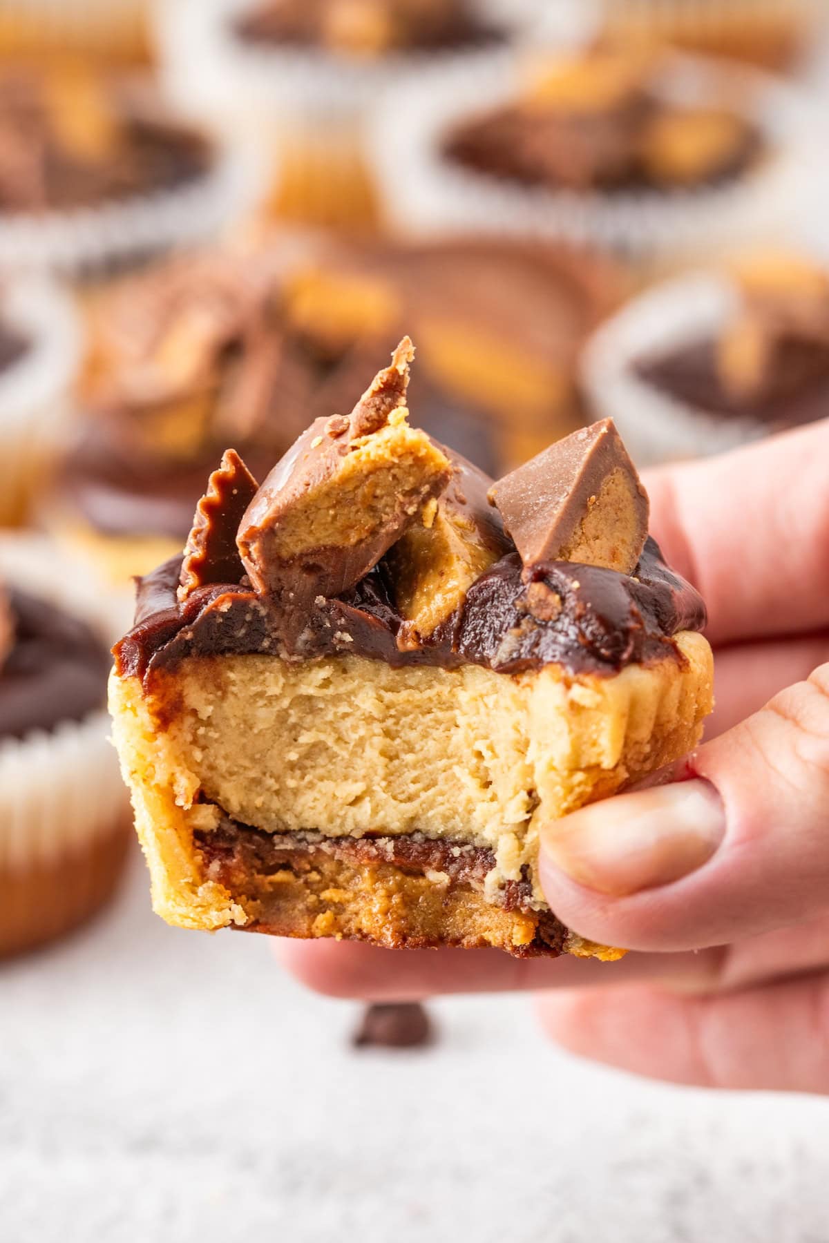 one Mini Peanut Butter Cup Cheesecake with a bite out and the Reese's peanut butter cup on the bottom