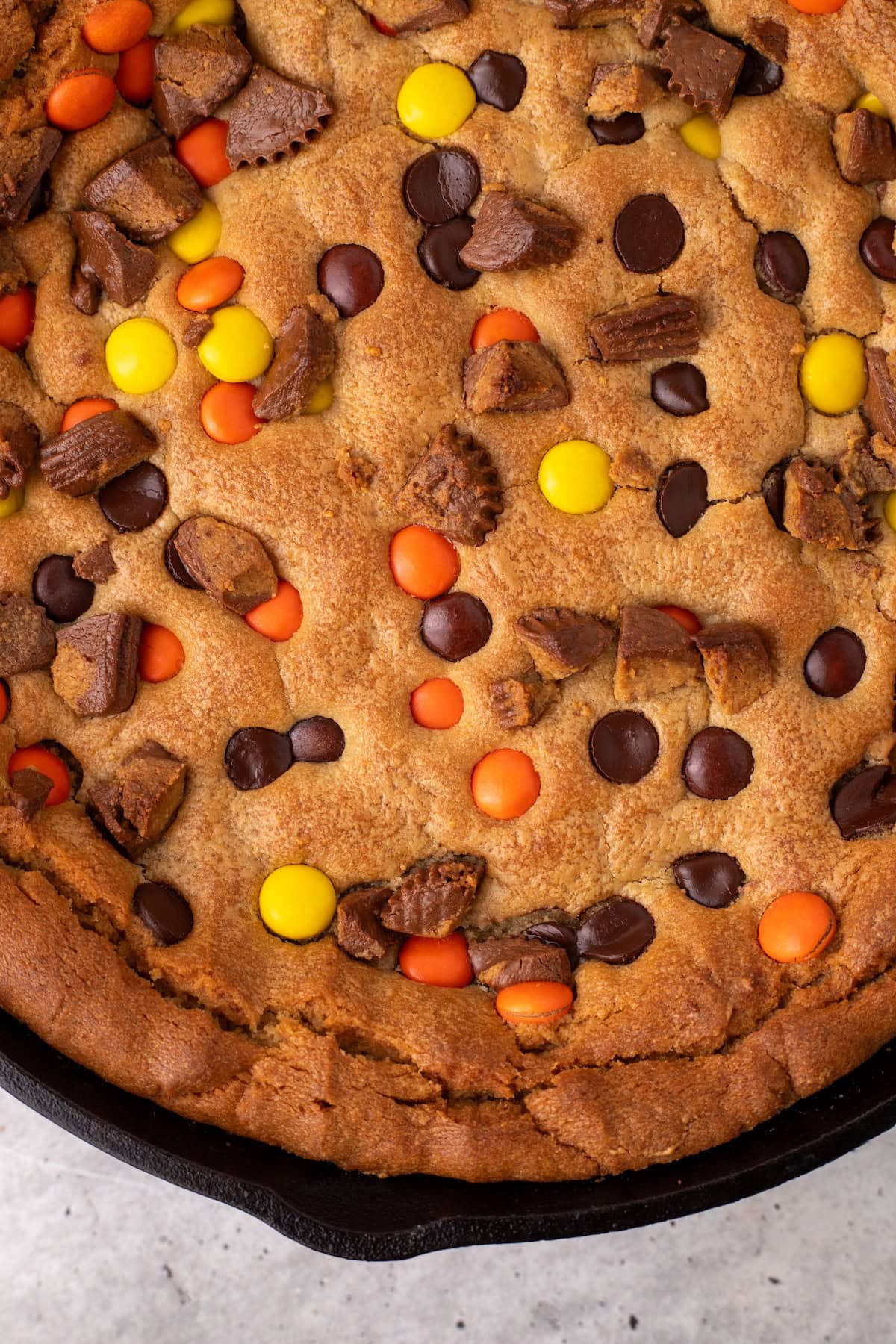 a close up of the ultimate peanut butter skillet cookie showing PB cups, Reese's Pieces, and chocolate chips on top of a golden brown peanut butter cookie cake