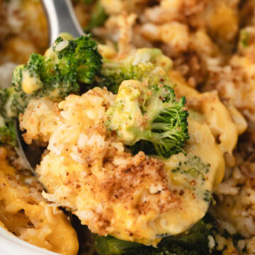 a spoonful of Chicken Broccoli Rice and Cheese Casserole with cream of chicken soup and Velveeta