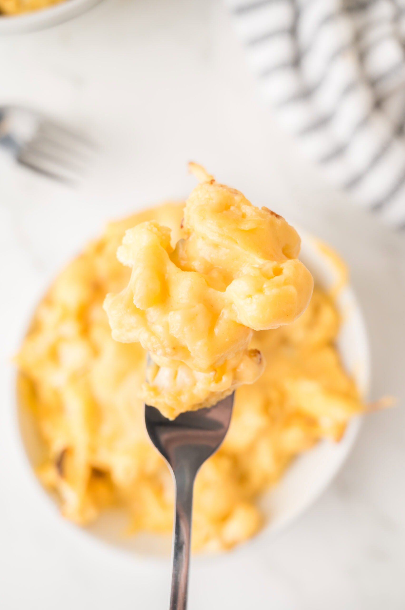 Cauliflower Mac & cheese scooped up to take a bite