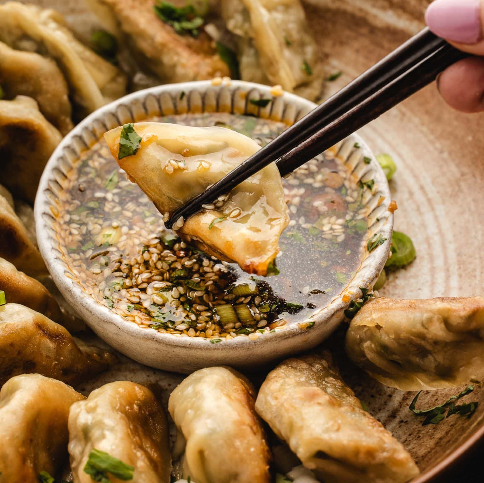 Dumplings plated, and one dumpling is being held by chopsticks to dip in dipping sauce
