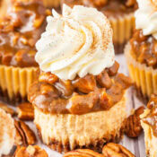 mini pecan pie cheesecake with a Biscoff cookie crust