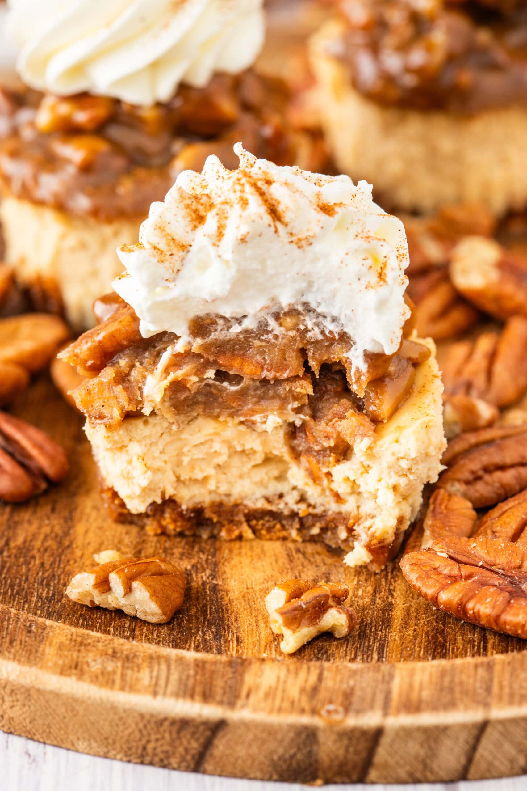 Showing the inside of a mini pecan pie cheesecake, all the layers are shown
