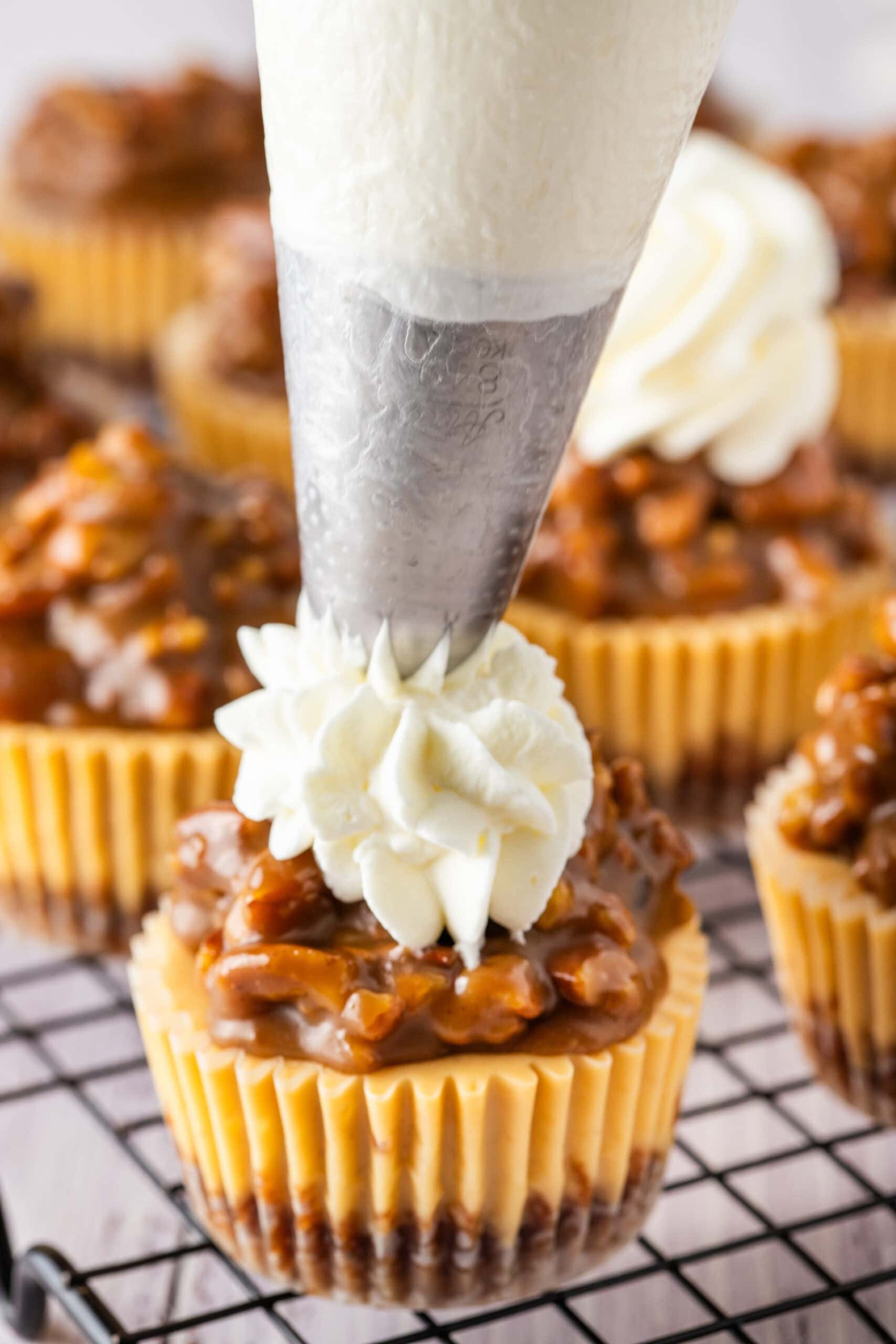 Using a piping bag the topping is being added to the mini pecan cheesecakes to complete the recipe