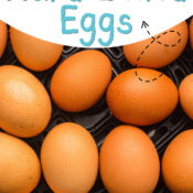 Pinterest Hidden Image