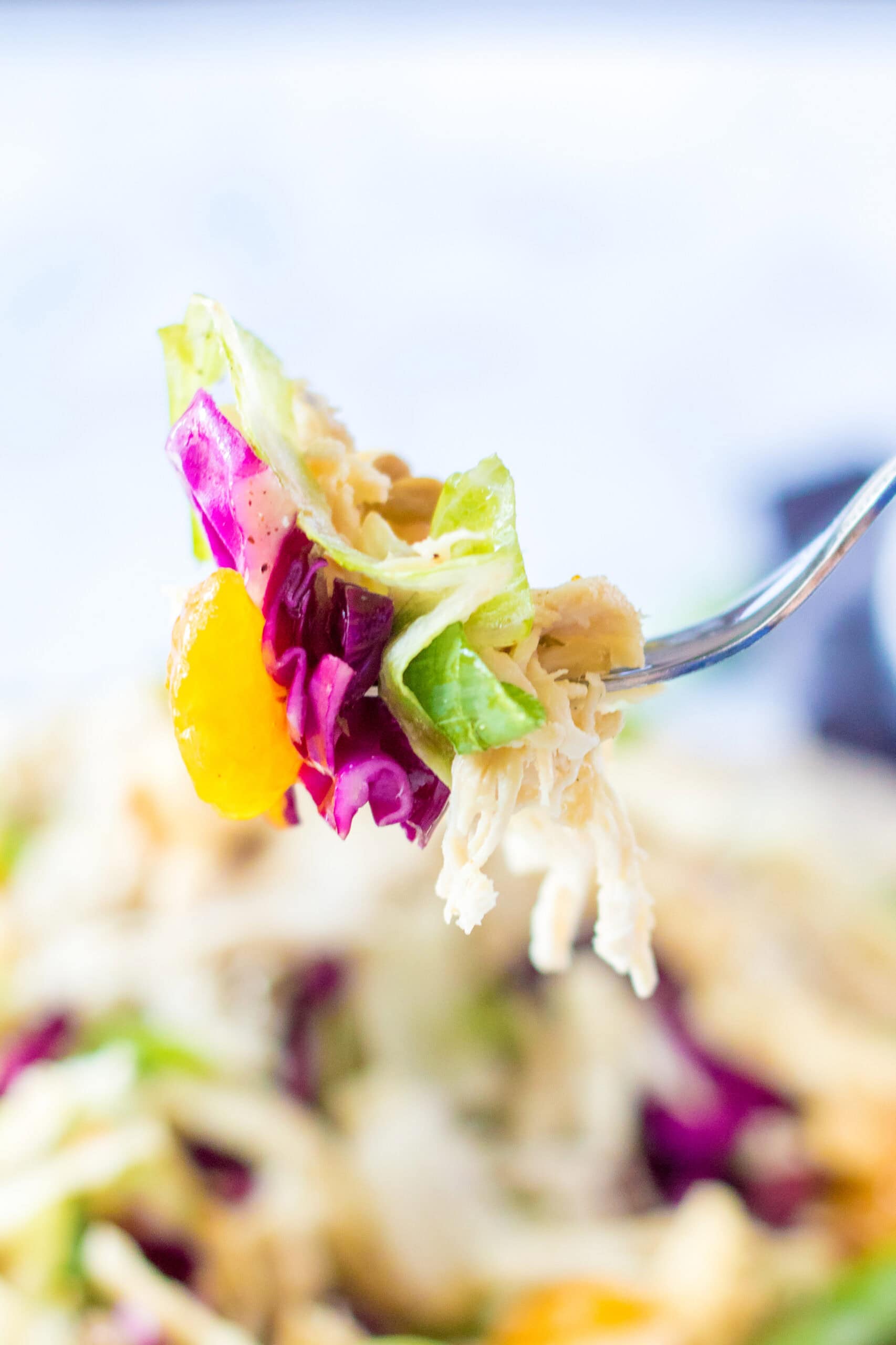 A fork holding a bite size portion of the Chinese salad