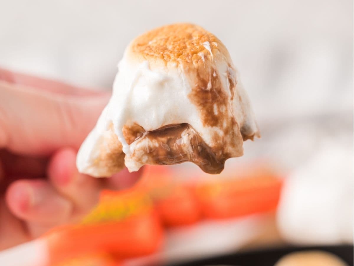 Melty peanut butter cup s’mores
