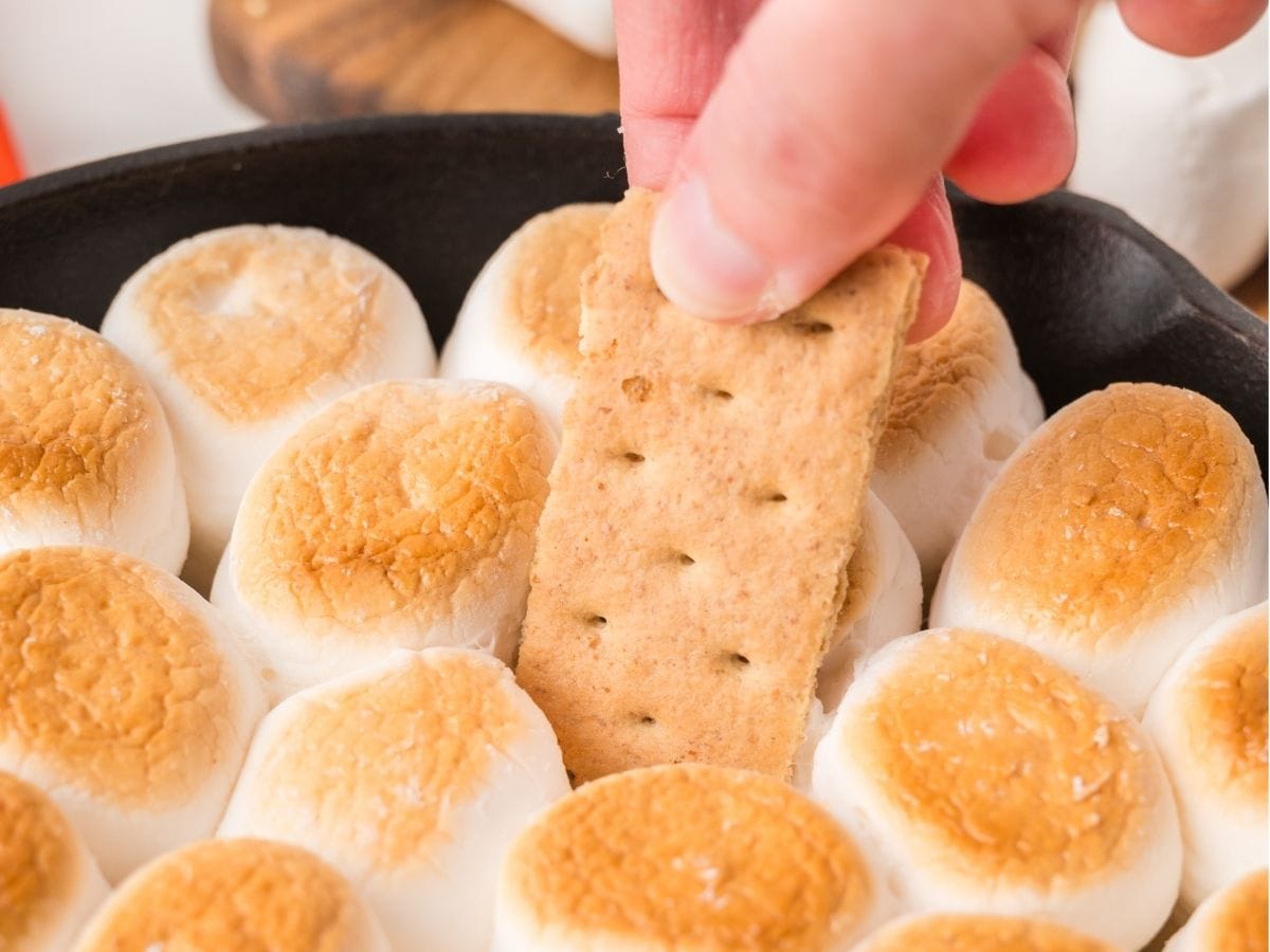Graham cracker s’mores dip scoop