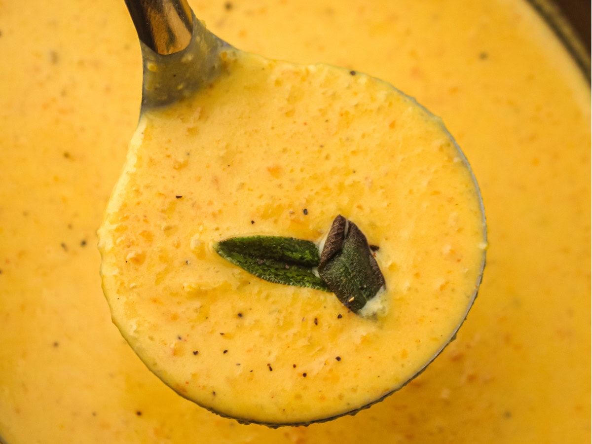 Thick creamy butternut squash soup